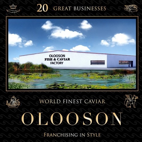 Planul de afaceri OLOOSON