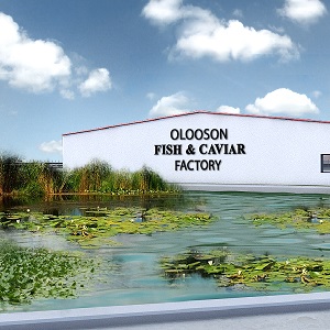 OLOOSON Design Aquaculture Farm