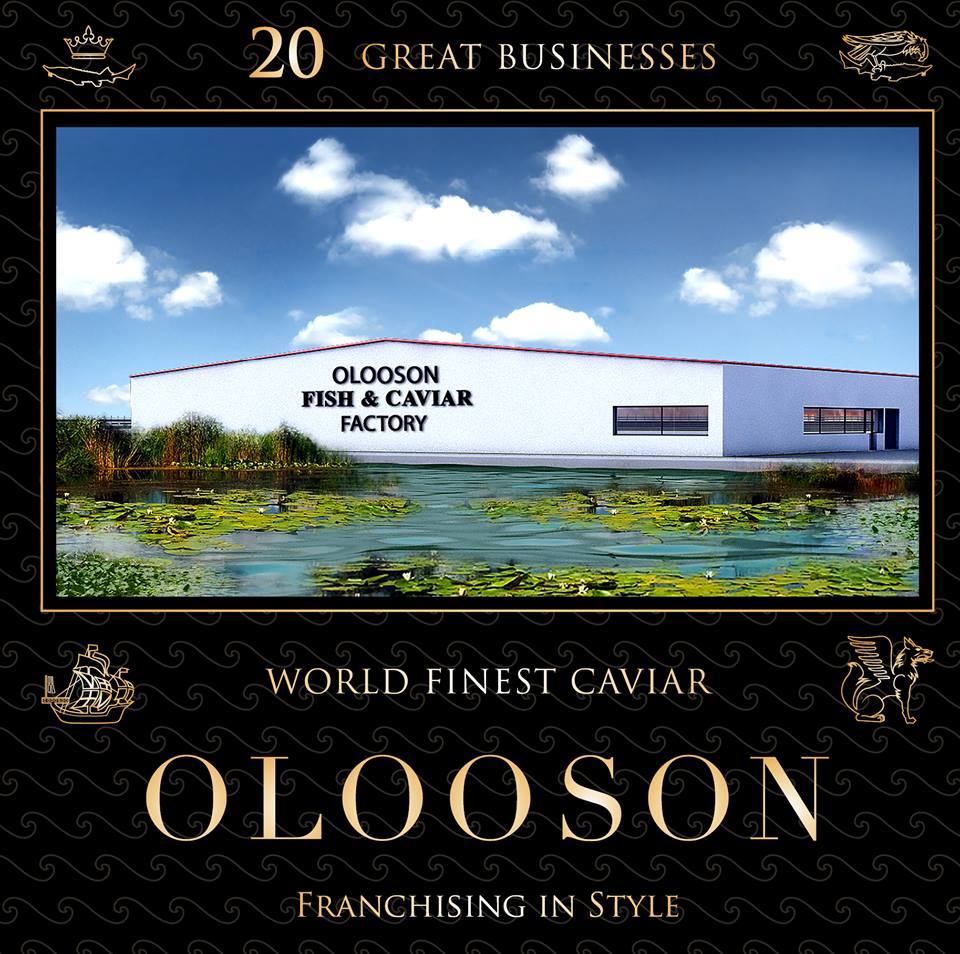 OLOOSON Investment Opportunity