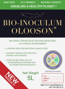 BIOINOCULUM_5