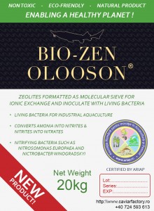 BIOZEN_20