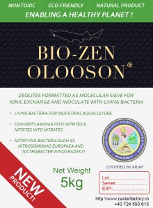BIOZEN_5