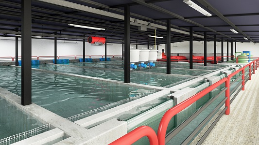 OLOOSON Complete Recirculating System