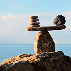LOOSON Mass Balance Law Principles