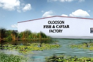 OLOOSON Design Aquaculture Farm
