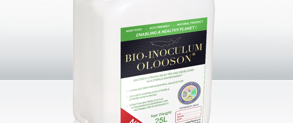 OLOOSON Industrial Bio-Inoculum bio-inoculum industrial
