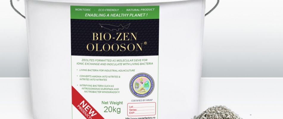 OLOOSON Bio Zen