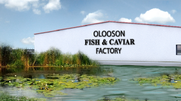 OLOOSON Proiectare Ferme Acvacultura