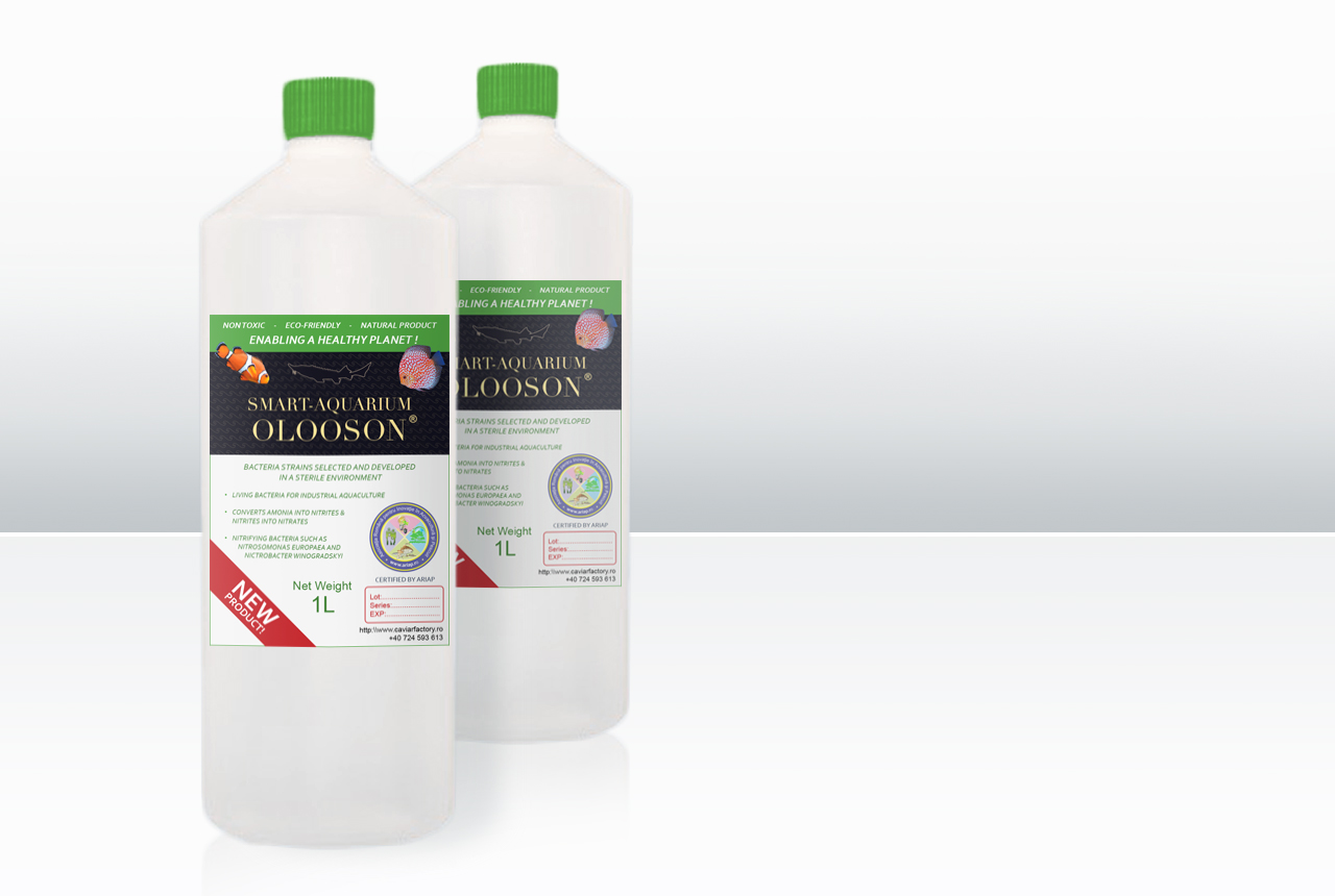 OLOOSON Smart Aquarium