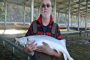 OLOOSON Book Sturgeons Fish Farmer