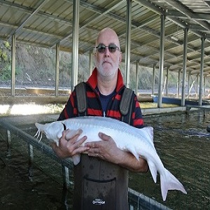 OLOOSON Book Sturgeons Fish Farmer