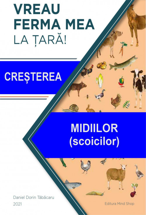 15 MIDIILOR