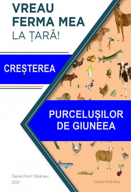 32 PURCELUSILOR DE GUINEEA