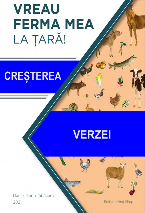 51 VERZEI