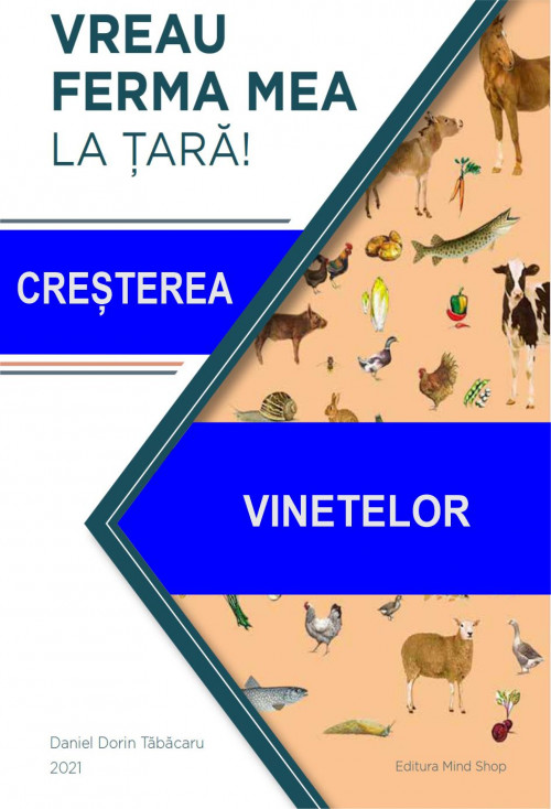 58 VINETELOR