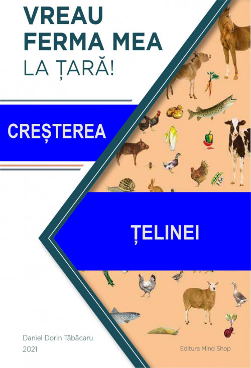 61 TELINEI