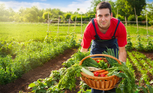 Farming