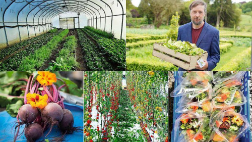 new-leaf-urban-farmers-810x456