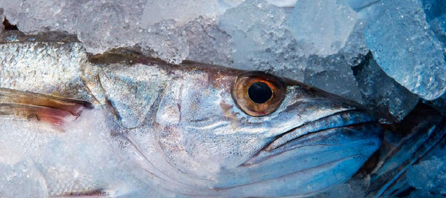 Peşti şi Crustacee în Europa