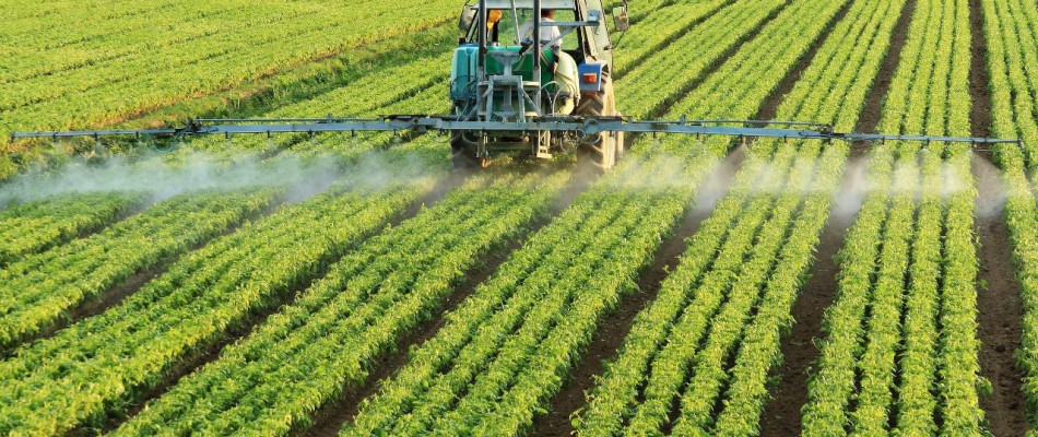 Investiţii În Ferme Vegetale PNDR 4.1