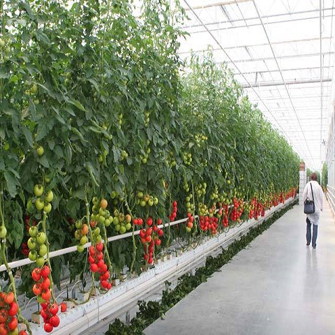Cartea: Sere și solarii, altfel…